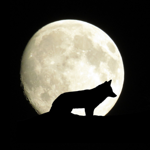 Rituel de pleine lune